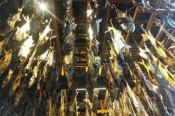 Traditional Salmon and Murakami Tea Delights