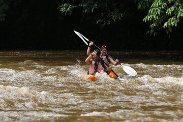 Rainforest Kayaking from Kuching