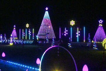 Memphis Starry Nights Experience