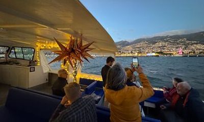 Christmas Lights Boat Tour