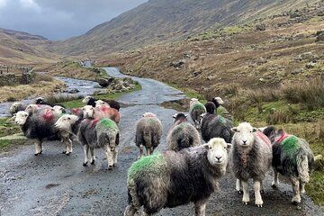 Private Tour: Lake District from Harrogate in 16 Seater Mercedes