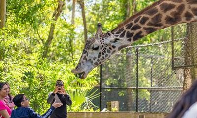Skip The Line Central Florida Zoo and Botanical Gardens Ticket